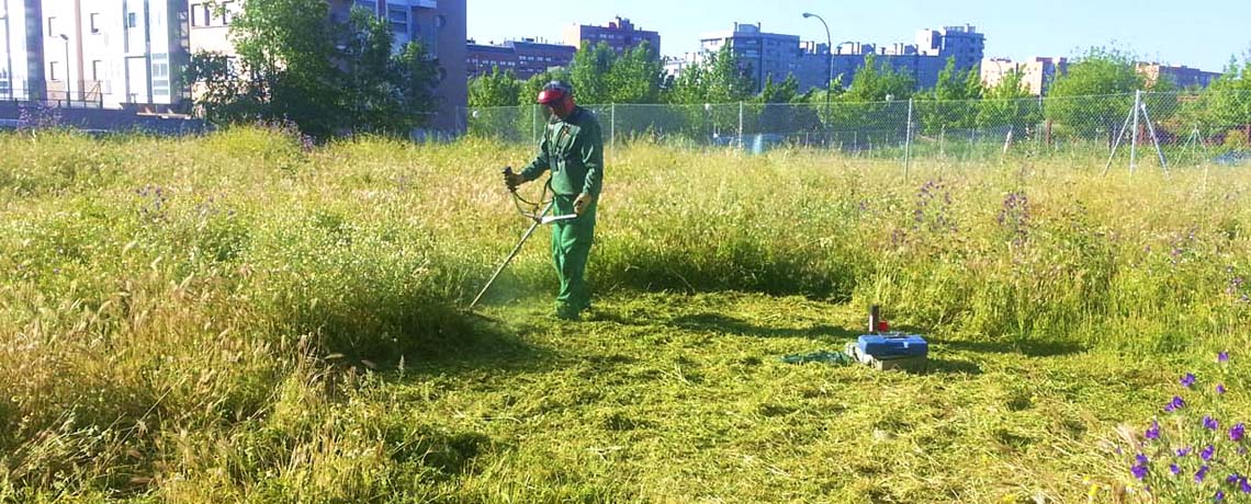 Empresa de mantenimiento de jardines realizando tarea de jardinería en comunidad de vecino en Madrid